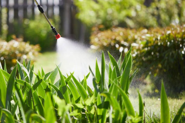24/7 Emergency Pest Control experts in Wyoming, WY